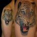 Tattoos - Mean Tiger - 20705